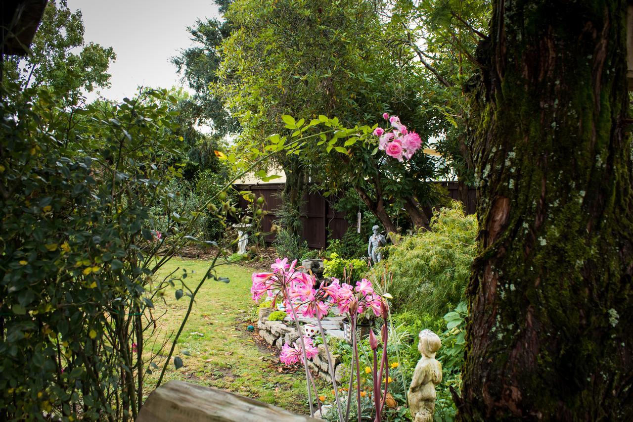 Holland House Bed & Breakfast 넬슨 외부 사진